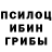Галлюциногенные грибы мицелий Parker Animations