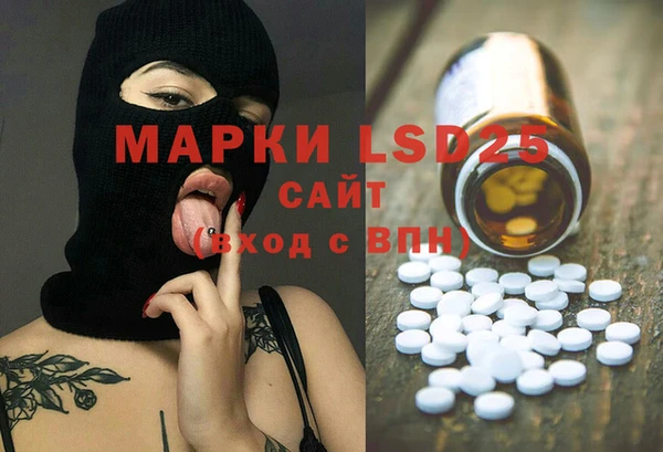 ECSTASY Ветлуга
