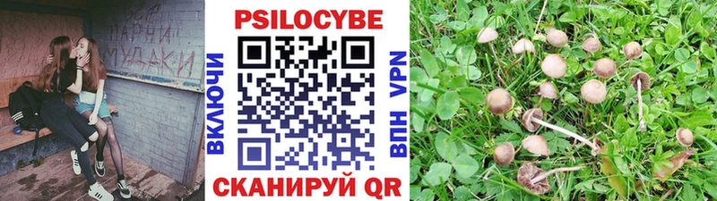 Галлюциногенные грибы Cubensis  Агрыз 